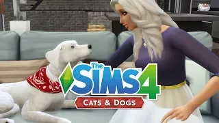 The Sims 4 Мод для управления животными !