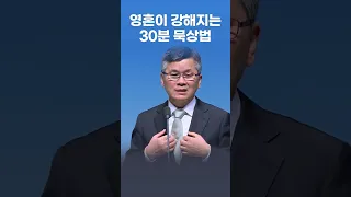 영혼이 강해지는 30분 묵상법 - 이찬수 목사