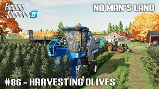 Harvesting Cotton, Sunflower and Olives, Selling Products - #86 No Man's Land - Farming Simulator 22