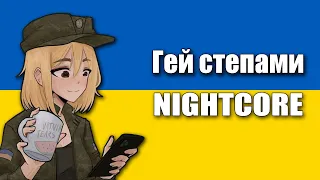 Nightcore - Гей степами - Ukrainian Patriotic Song