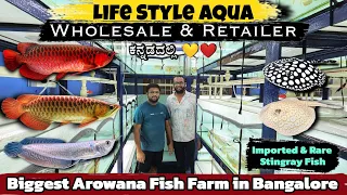 India’s Biggest Arowana Fish Farm | Life Style Aqua | 24K Golden Head Arowana | ಕನ್ನಡಲ್ಲಿ 💛❤️