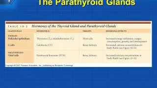 Endocrinology 2014