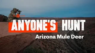 Anyone's Hunt: Arizona Mule Deer I Presented by onX Hunt
