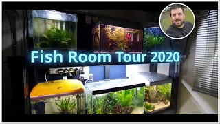 Fish Room Tour 2020 - My First Tropical Set Up