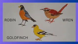 How To Draw Different Types Of Birds # How Do You Draw Cute Birds # Three Birds Easy Drawing
