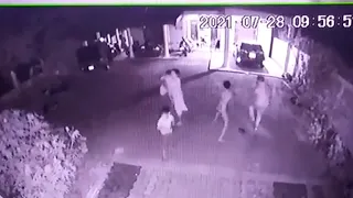 CCTV footage of Elephant Attack in Wellawaya #elephantattack #wellawaya