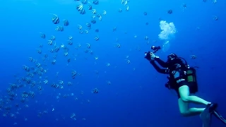 Scuba - Tofo, Mozambique