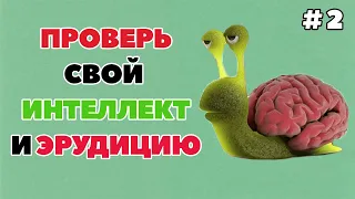 ТЕСТ НА ИНТЕЛЛЕКТ И ЭРУДИЦИЮ #2