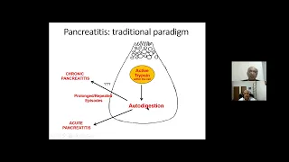 1   Acute pancreatitis management in first second week