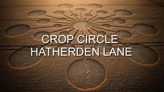 Crop Circle | Hatherden Lane, Charlton, Hampshire | Reported 25/07/23