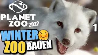 Ich baue einen Winterzoo - #1 - Planet Zoo 2022
