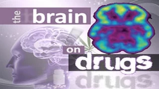 The Brain on Drugs Part 2