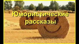 Юмористические рассказы. Часть 3/6. Аудиокнига.