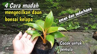 4 CARA MENGECILKAN DAUN BONSAI KELAPA DENGAN MUDAH || COCONUTBONSAI