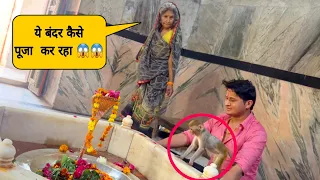 आज Nikki ने पूजा किया // Sumit Cool Dubey