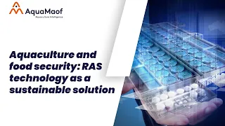 Aquaculture and food security: RAS technology as a sustainable solution