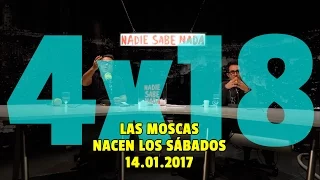 NADIE SABE NADA 4x18 | Las moscas nacen los sábados