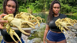 GIANT LAND CRAB CATCHING - Jamaica Coconut Curry Style