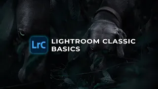 Introduction to Lightroom Classic Basics for beginners