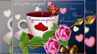 C ДОБРЫМ УТРОМ!🌞ШИКАРНОЕ ПОЖЕЛАНИЕ🌞