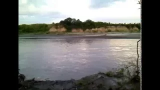 თევზაობა ალაზანზე 3  Fishing Alazan 3