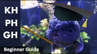 Aquarium Water Chemistry Explained Easy (PH, KH, GH)