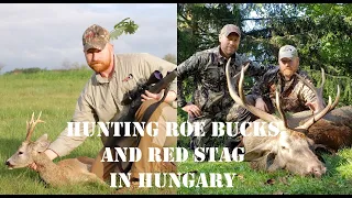 Hunting Roe Bucks and Red Stag In Hungary (Őzbak és gímszarvas vadászat), V312