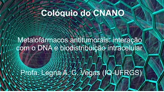 Metalofármacos antitumorais: interação com o DNA e biodistribuição intracelular