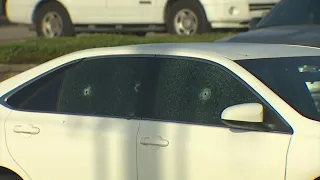 Houston, Texas crime: Multiple shots fired by road rage suspect, HCSO says