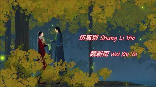 Shang Li Bie 伤离别 Thương ly biệt - Wei Xin Yu 魏新雨 Lyric Video [Pinyin | English Sub | Vietsub]