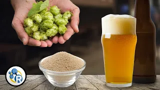 Craft Beer Chemistry