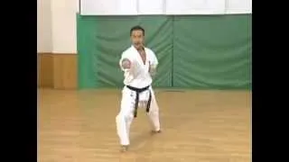 Каратэ Киокушинкай: Ката - Пинан Соно Сан | Kyokushin Karate: Kata - Pinan Sono San