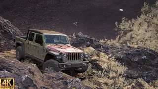 Abandoned Jeep Gladiator Rubicon Offroad Build | Forza Horizon 5 |  Logitech G29 Gameplay