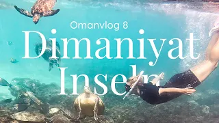 Zauberhafte Unterwasserwelt im Oman: Tauchen & Schnorcheln bei den DIMANIYAT INSELN | Oman Vlog 8