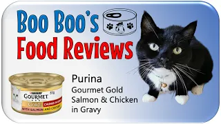 It's Double Bubble Day - Purina Gourmet Gold Tinned Cat Food Salmon & Chicken in Gravy REVIEW