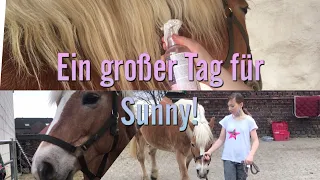 Ein GROSSER Tag für SUNNY! ♥︎