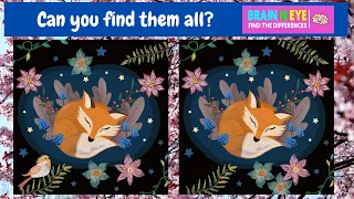 【Find the difference game】Brain exercise quiz! Exciting concentration time! | KAWAII image C No 3003