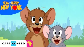 Running the Streets of New York City | Tom & Jerry in New York | Cartoonito Africa