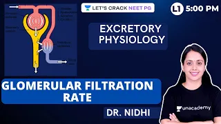 Excretory Physiology | Glomerular Filtration Rate | NEET PG 2021 | Dr. Nidhi