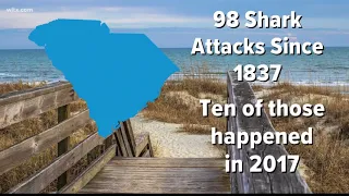The Odds Of Getting Attacked By A Shark