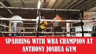 Ohara Davies Body Sparring