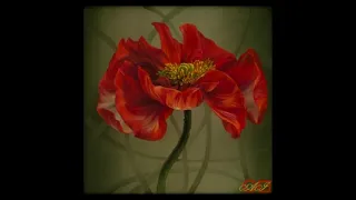 Аленото цвете - Руска Народна приказка Аудио приказка на български език