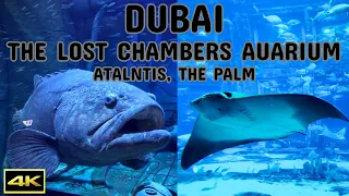 Dubai | The Lost Chambers Aquarium | Atlantis, The Palm | Walking Tour | 2024 | 4K