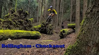 Bellingham MTB - Chuckanut