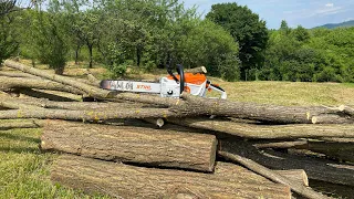 Cutting for the first time a big pile of wood with Stihl Msa 300 and one Ap-500 S battery.