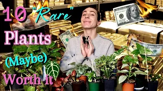 10 'Rare' Plants Potentially Worth The Hype | Do you agree?