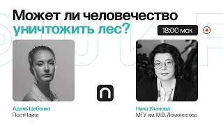 В трех соснах: что не так с экотревогой и можем ли мы уничтожить лес? / Нина Уланова на ПостНауке