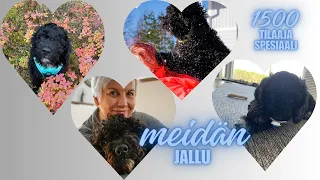 1500 tilaajan spesiaali | Meidän Jallu