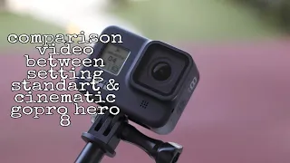 Review : GoPro Hero 8; comparison video between setting standart & cinematic in low light