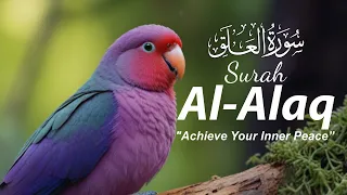 SURAH AL-'ALAQ سورة العلق | Quranic Surahs That Bring Peace to the Soul | Zampfai Quran